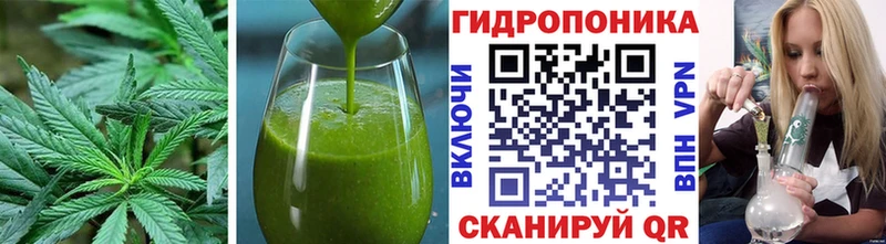 наркошоп  Кувшиново  omg ссылка  Cannafood конопля 