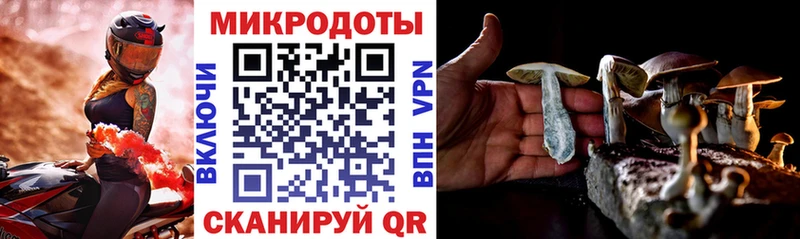 Галлюциногенные грибы GOLDEN TEACHER  где купить наркоту  Кувшиново 